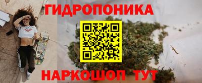 дмт Обнинск