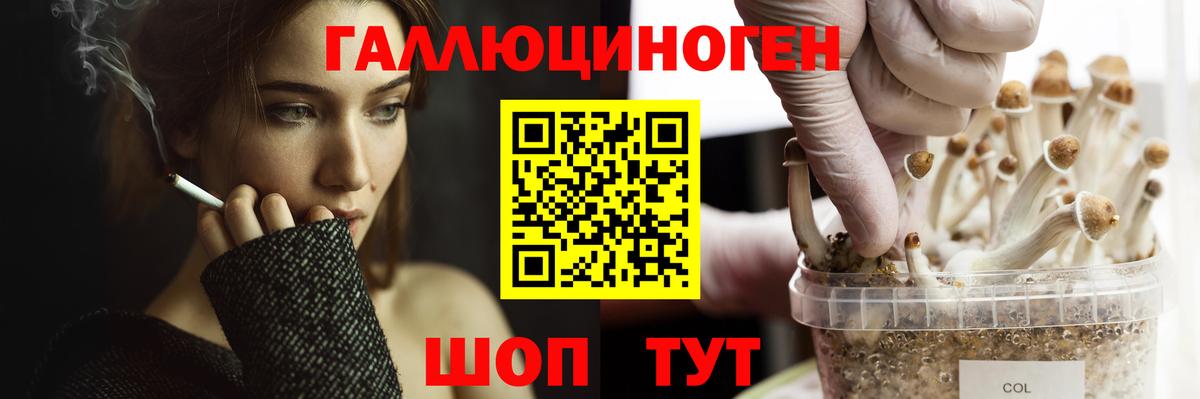 Галлюциногенные грибы GOLDEN TEACHER  Псилоцибиновые грибы Magic Shrooms  Алейск  Вход с VPN 